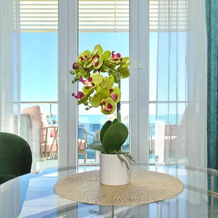 Apartment Amfora